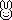 :rabbit